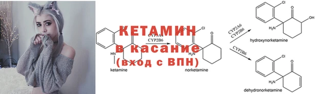 крисы Балабаново