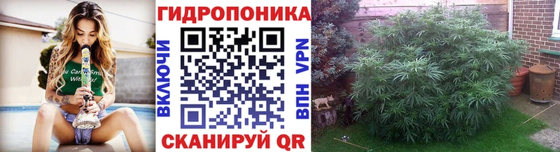 ссылка на мегу ССЫЛКА  Закаменск  Бошки марихуана VHQ  как найти  